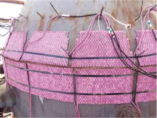 环缝好色先生丝瓜现场